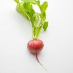 Close-up of a fresh red radish with green leaves on a white background.